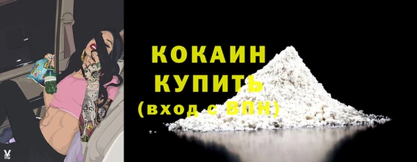 прущие грибы Баксан