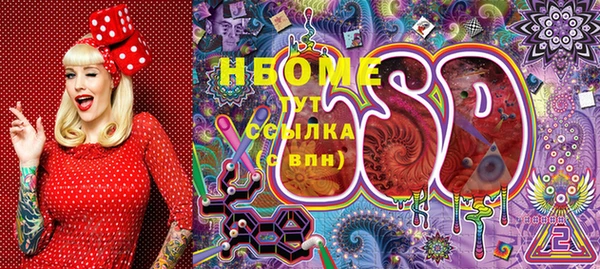 прущие грибы Баксан