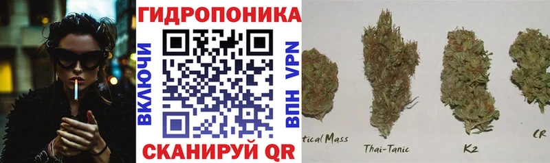 МАРИХУАНА конопля Козельск